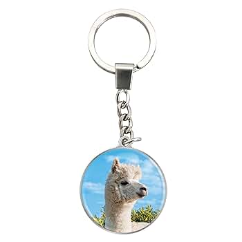 Deluxebase Magnidome Keychains - Alpaca. Crystal Glass Key